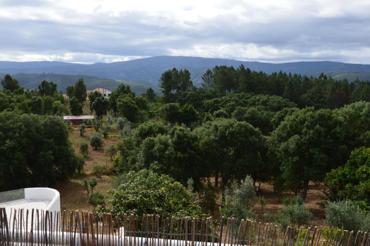 Ouzenda Do Zêzere *